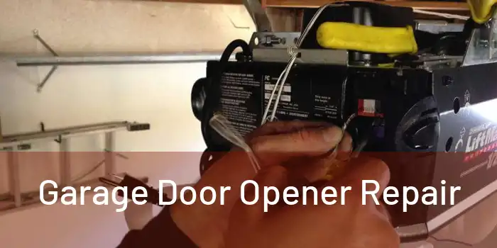 Garage Door Opener Repair